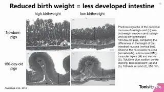 Tonisity Webinar - First Week of Life Challenges