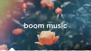 Aesthetic music (no copyright)
