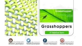 GRASSHOPPER TUTORIAL: how to model relative item with grasshopper plugin in rhino!