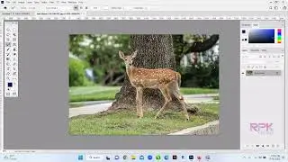 Eyedropper Tool Photoshop | Use Eyedropper Tool | Learn Adobe Photoshop Free | RPK CLASSES | Part-17