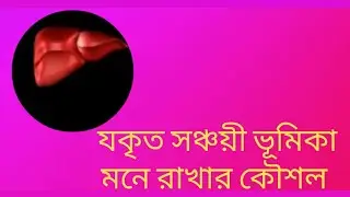 যকৃতের সঞ্চয়ী ভূমিকা মনে রাখার টেকনিক
