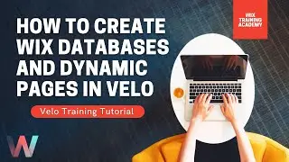 How To Create Wix Databases and Dynamic Pages in Velo | Wix.com Tutorial