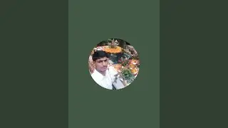 Ashish dhawariya official vlog लाइव है!