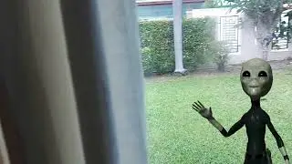Grey Alien Jumpscare at the Window