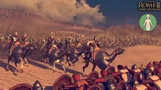 Разбор  Сабы для 1х1. Total War Rome 2    #totalwar