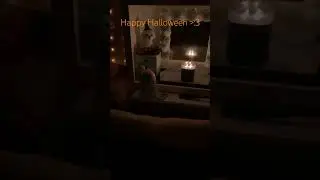 This is the most coziest room I have felt In a while😖🎃 #foryou