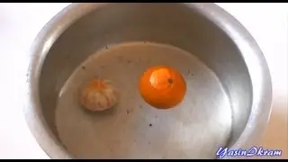 Why does an Orange float in water but sink if peeled?