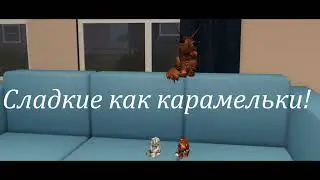 барбарики!//видео с подписчиками!:3