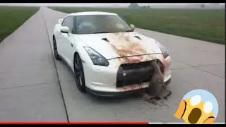 Top 10 in Russia Best of Idiotik Car Drivers dangerous accident #dangerous #meme haven