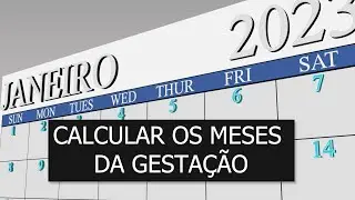 Como calcular os meses da gestação | Dra Larissa Medeiros