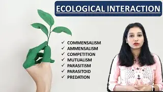 Ecological Interaction I Species Interaction I Organism & Population Ecology Population Interaction