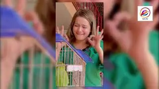 Funny TikTok Videos | Pakistani Tiktok Viral Videos | Jannat Mirza | Jeevan Sultan