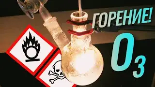 Будет ли дерево гореть в ОЗОНЕ?