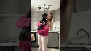 МОЯ СОБАКА ЗНАЕТ 7 КОМАНД 🐕‍🦺