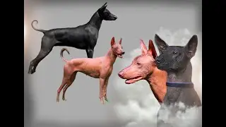 милый малыш