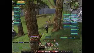 Wardens in Ettenmoors| Mirkwood[RU]