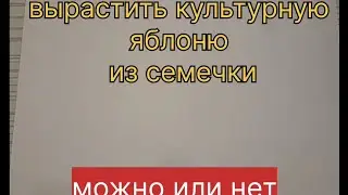 Вырастить культурную яблоню из семечки? Можно или нет?