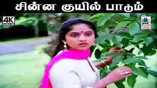 Chinnakkuyil Paadum இசைஞானி இசையில் சித்ரா பாடிய பாடல் சின்ன குயில் பாடும்