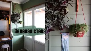 Зелёная стена - уютный Urban Jungle