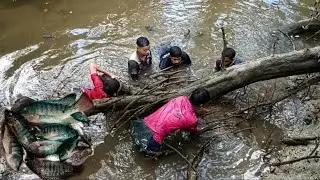 || गेलो होतो चिमणी पकडाला ,पण भेटले भरपूर फंटूस व करपाली  || BIG FISHING IN VILLAGE