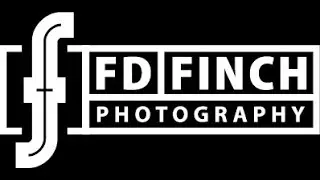 Delesha reviews the BEST HEADSHOT Photography Team FD Finch Photography in St. Louis, MO