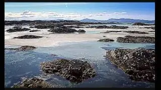 Fox Sailor  -The Great Valley - Extended