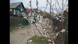 футаж Весна в деревне .Nature.Free footage.