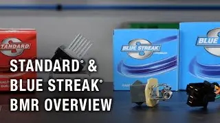Standard® and Blue Streak® BMR Overview