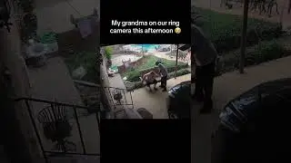 The ending 😂#compilation  #funny #funnyvideos #animals #funnyshorts #animalsfunny #viral #trending