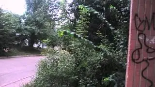 мой подъезд
