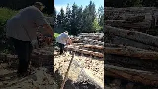 Cutting wood.
