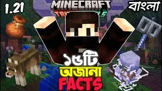 Minecraft এর ১৫টি অজানা Facts যেটা জানলে আপনি অবাক হবেন