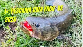 PRIMEIRA PESCARIA DE TRAÍRA em 2026 com FROG!