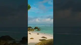 Ready for the island 🏝️