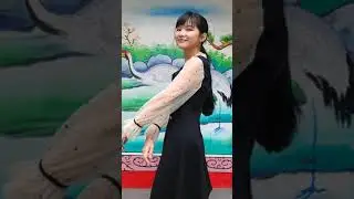 Xiaomi 11T Test Video : 4K 30FPS