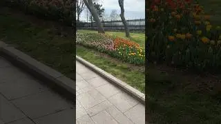 Фестиваль цветов в парке Гюльхане Стамбул