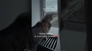 Каждый питомец🥺