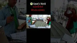 การใช้งาน เครื่องคัดไข่ | ที่คัดเบอร์ไข่ | เครื่องคัดไข่ Egg Grading Machine