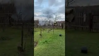 Мощная петарда 🧨