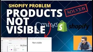 Shopify Products Not Visible Online Store | Products In Inventory But Not Visible In Collection