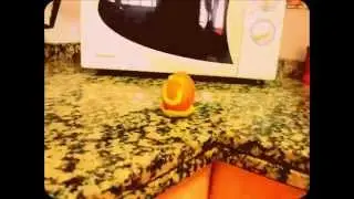 HUEVO CURIOSO