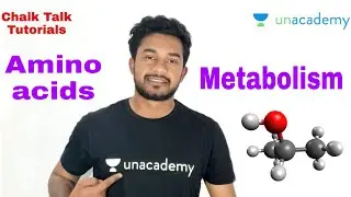 part 1, Amino acids metabolism, protein metabolism, Farman khan