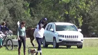 Erin Walker & Zydeco Nights Rocking Horse Winter 2 Horse Trials 2020