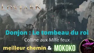 Lost Ark - donjon : Tombeau du roi -  Partie 1 - le meilleur chemin & Mokoko