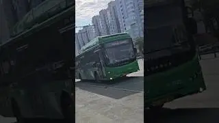 Volgabus-5270.G2 CNG, ео 448 74, маршрут 8 |Volgabus-5270.G2 CNG, ео 557 74, маршрут 8
