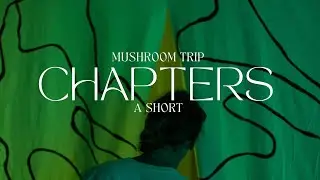 Mushroom Trip Chapters  -  What Eating Mushrooms is Really Like