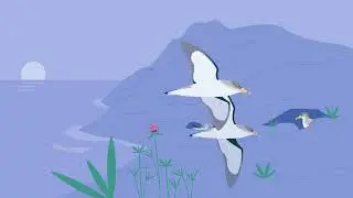 Pardelas: sobrevivir en un mar de amenazas