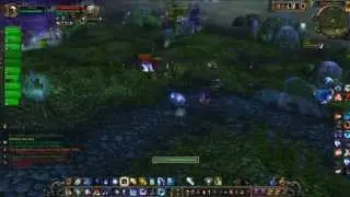 WSG clip