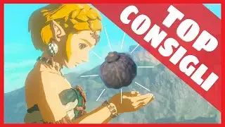 ✅Tips and Tricks before starting The Legend of Zelda: Tears of the Kingdom