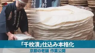 「千枚漬」仕込み本格化 京都の老舗、作業公開
